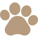 L'icône de la patte d'un animal